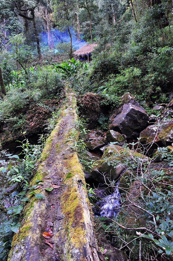 Pu Ta Leng – challenging mountain for adventurous visitors during New Year festival